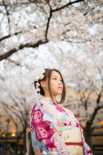 日本旅行拍攝婚紗情侶寫真 櫻花今日發,思君且盼君