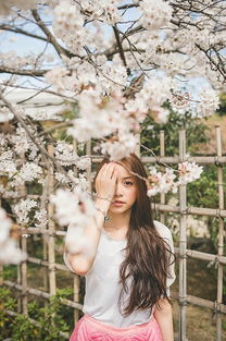 日本旅行拍攝婚紗情侶寫真 櫻花今日發,思君且盼君