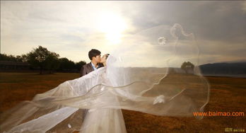 麗江婚紗攝影麗江旅游婚紗攝影找哪里優選麗江格度婚紗攝影機構,麗江婚紗攝影麗江旅游婚紗攝影找哪里優選麗江格度婚紗攝影機構生產廠家,麗江婚紗攝影麗江旅游婚紗攝影找哪里優選麗江格度婚紗攝影機構價格