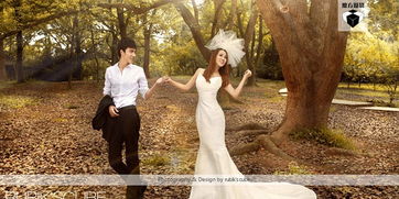 魔方攝影作品欣賞