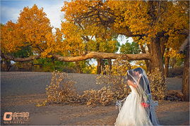 穿著婚紗去旅行 旅行婚紗攝影自拍技巧