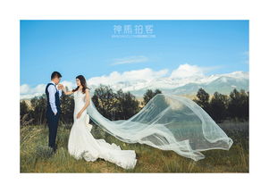 青海湖茶卡鹽湖旅行婚紗照第三波：神馬拍客與侶行婚紗攝影的視覺盛宴